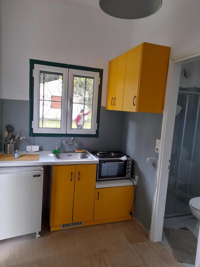 Olive Terra Holiday Aparments Λευκίμμη Εξωτερικό φωτογραφία